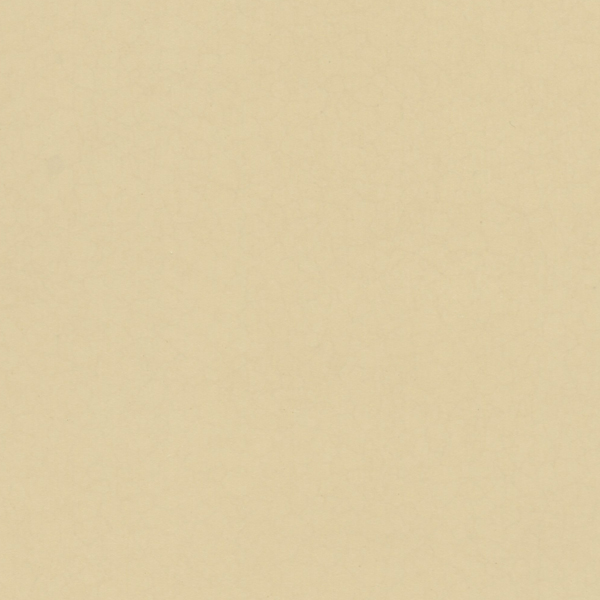 Desert Tan